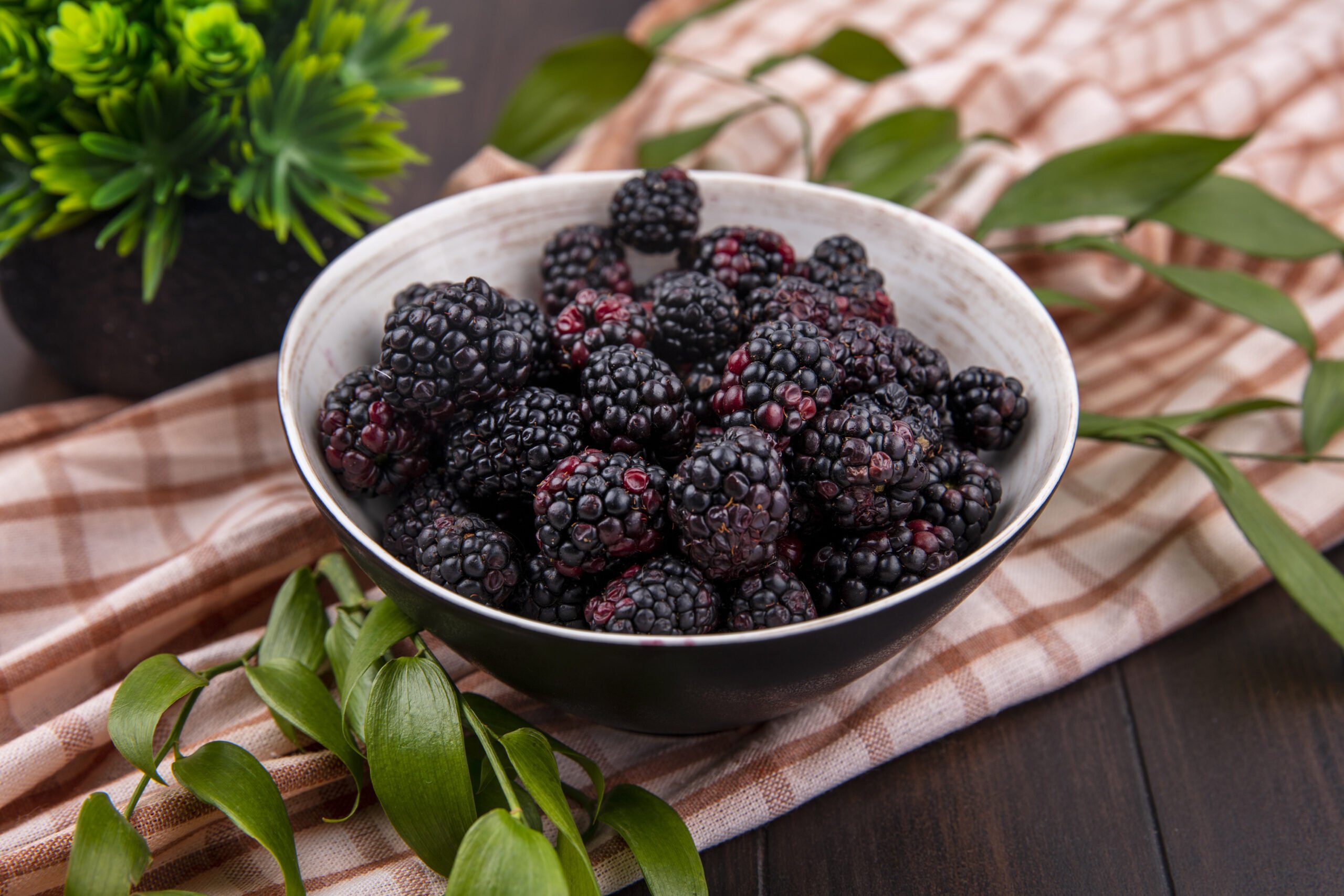 Enfes Tadına Ek Saymakla Bitmeyecek Böğürtlen Faydaları
