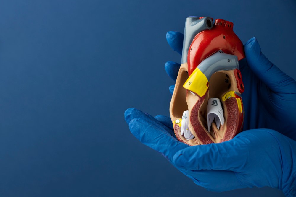 Biliyer Stent Nedir?