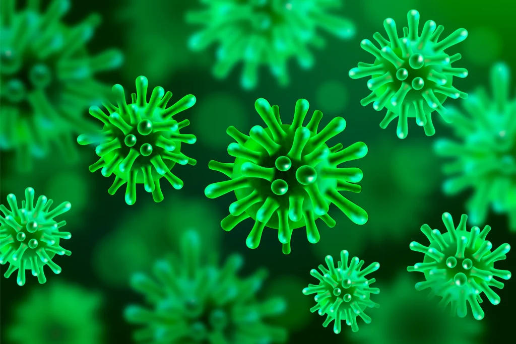 Bakteriyel Enfeksiyon Nedir?