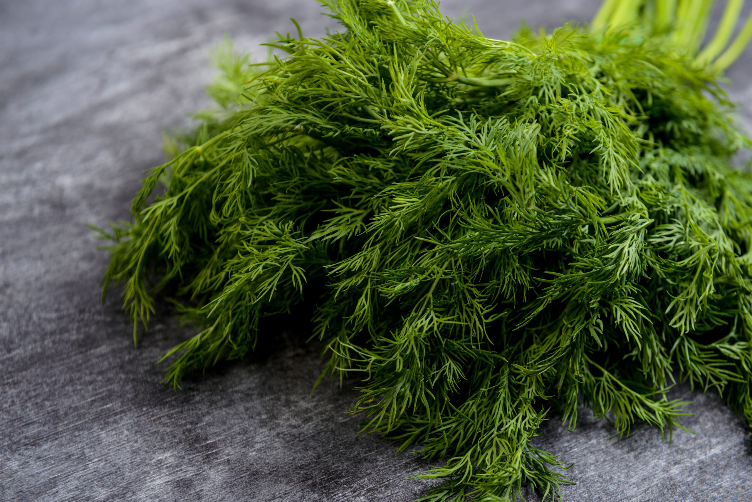 Dereotunun Faydaları