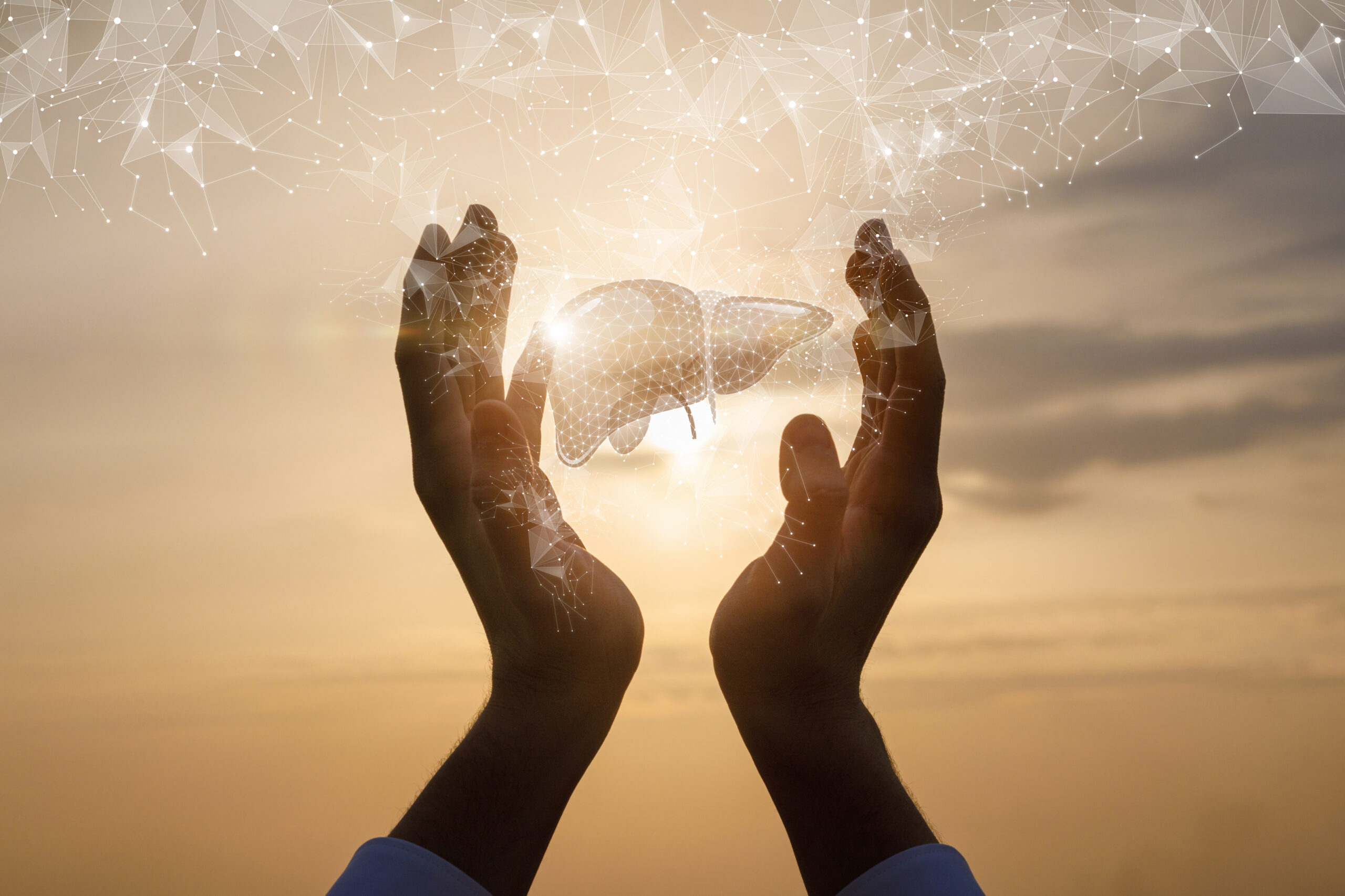 Fibroscan Nedir? Fibroscan Hangi Hastalıklarda Uygulanır?