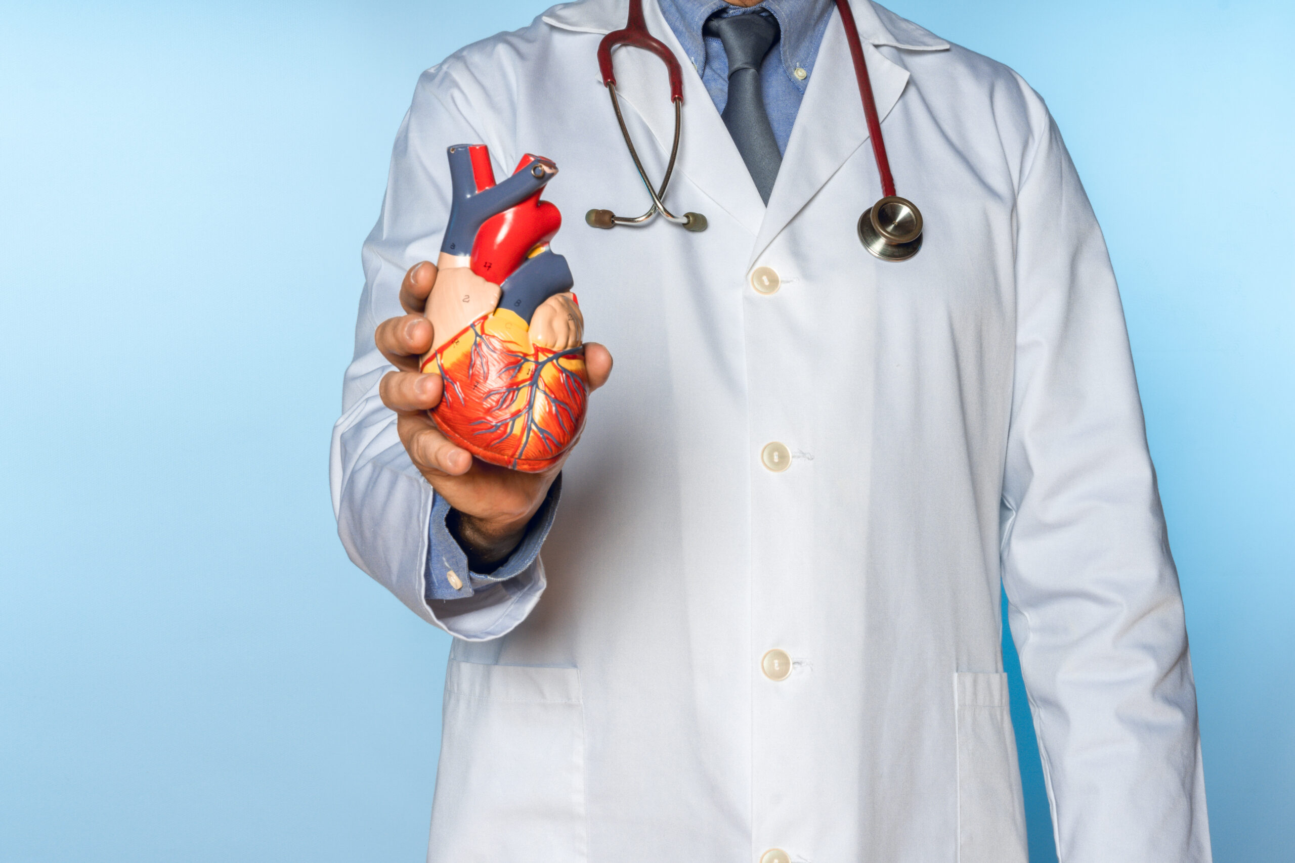 Kalp ve Damar Cerrahisi (Kvc) Nedir?