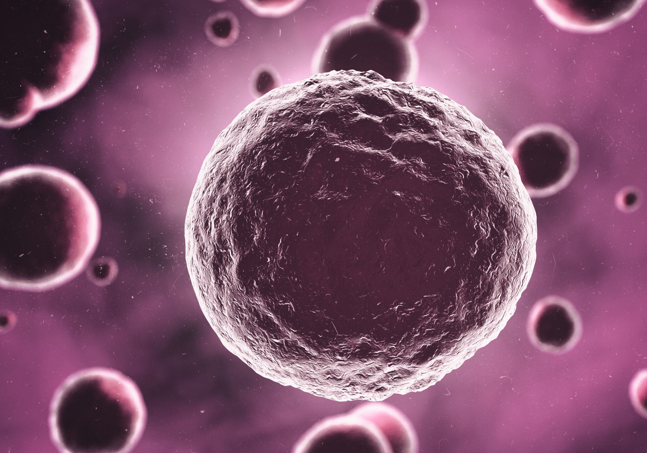 Lenfosit Nedir? Kanda LYM Yüksekliği ve Düşüklüğü