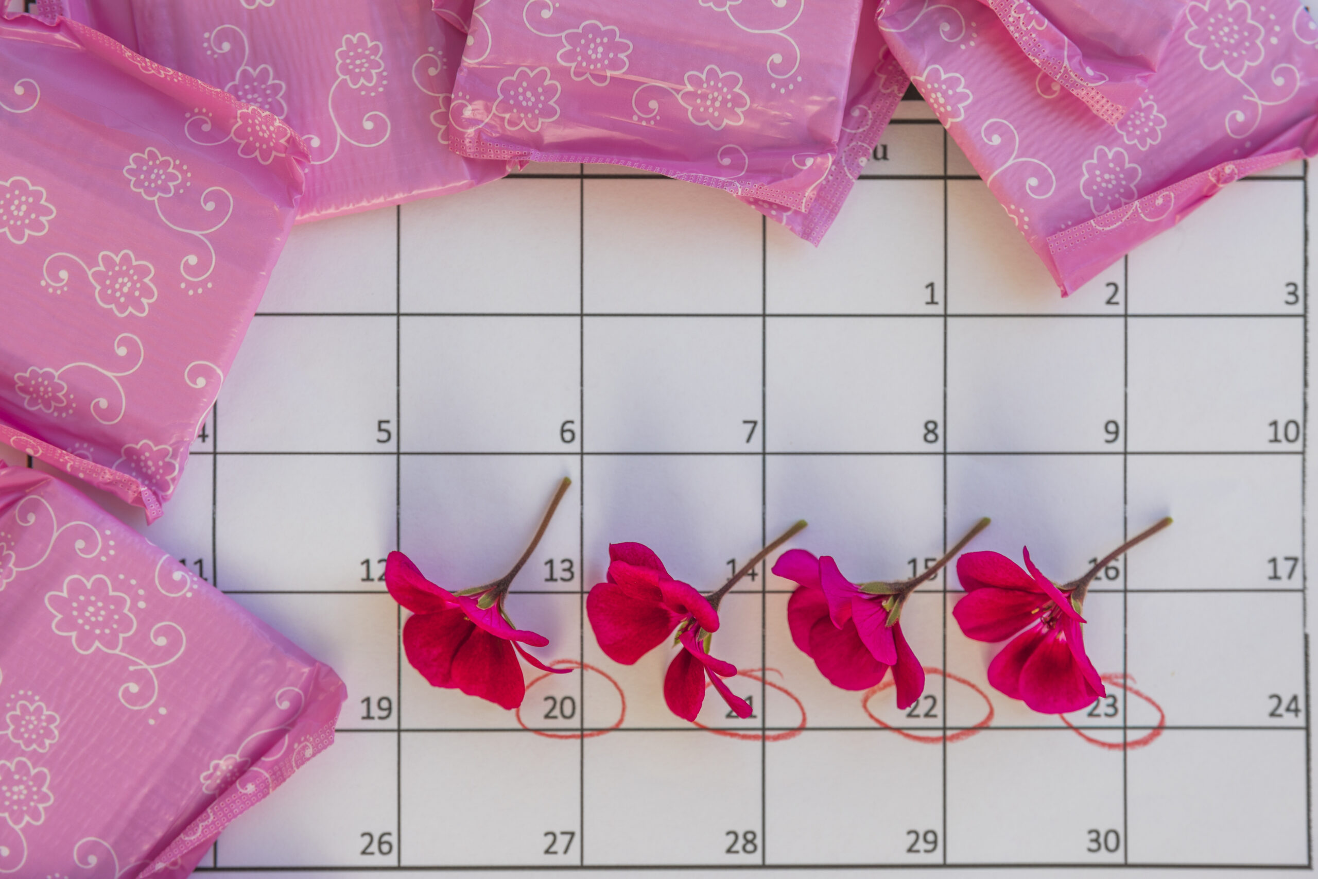 Yumurtlama Dönemi Hesaplama